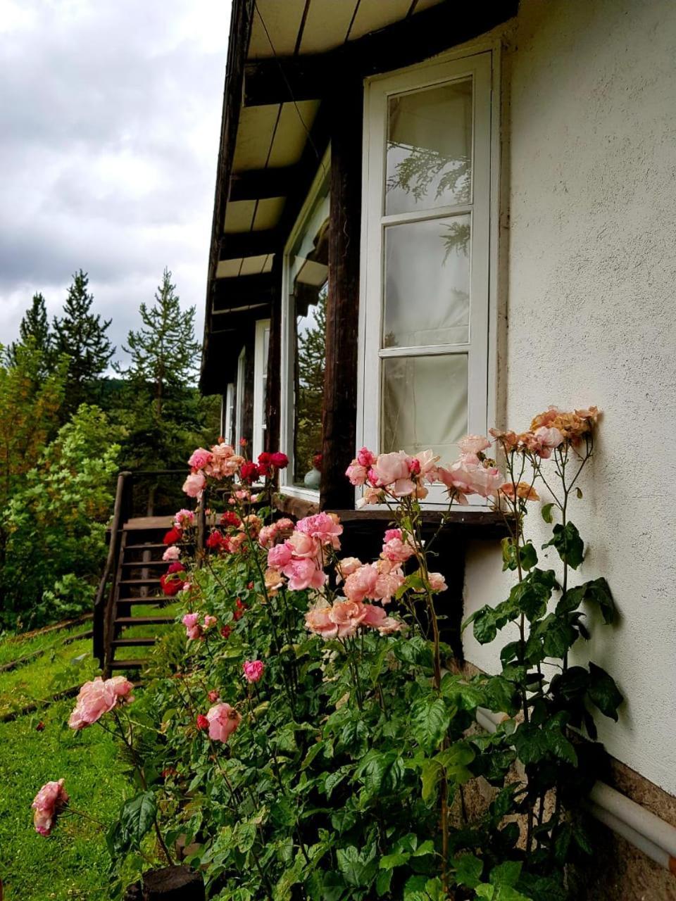The Patagonian Lodge Койайке Экстерьер фото